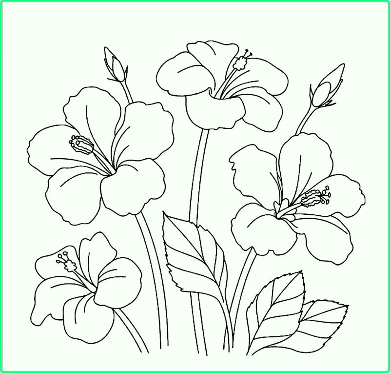 Detail Contoh Gambar Bunga Untuk Kolase Nomer 42