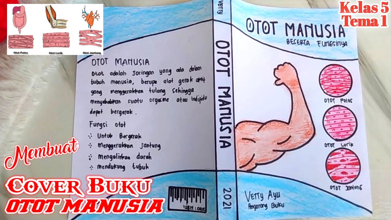 Contoh Gambar Cover Buku Otot Manusia - KibrisPDR