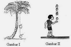 Detail Contoh Gambar Gaya Gravitasi Nomer 31