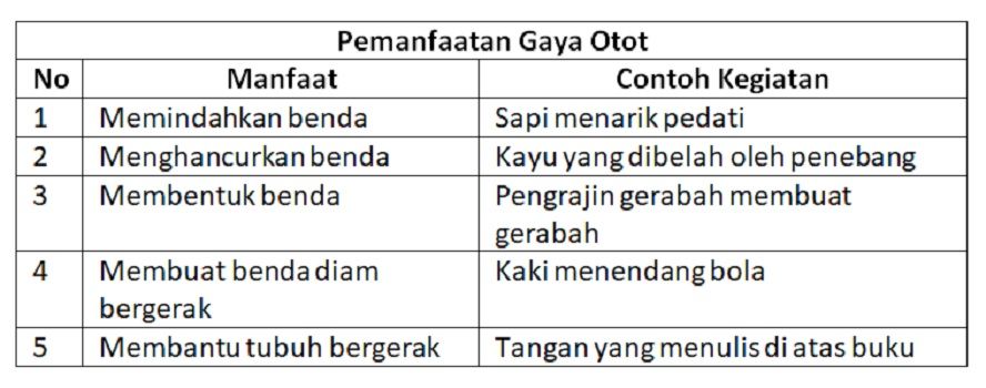 Detail Contoh Gambar Gaya Otot Nomer 56