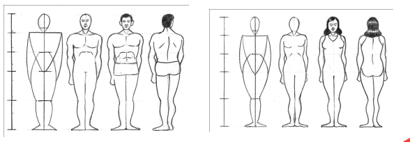 Detail Contoh Gambar Model Manusia Nomer 41