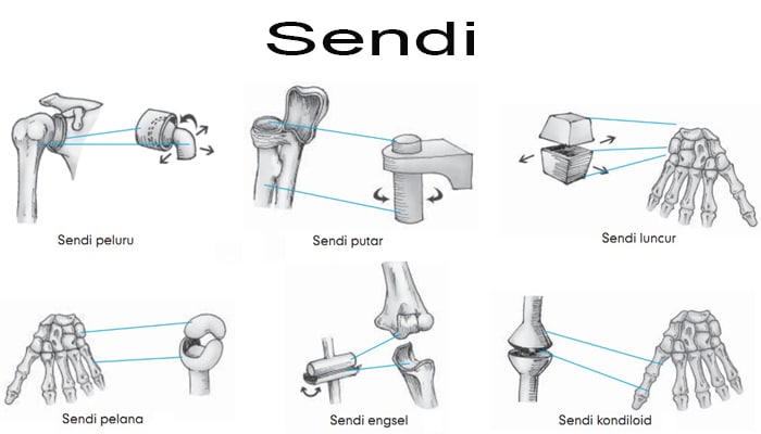 Detail Contoh Gambar Sendi Putar Nomer 16