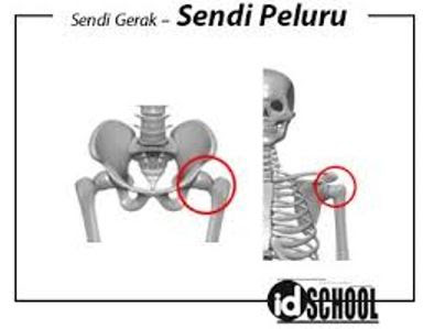 Detail Contoh Gambar Sendi Putar Nomer 18