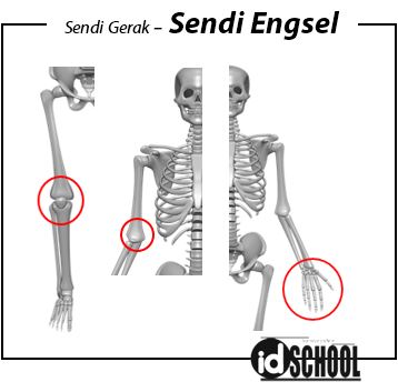 Detail Contoh Gambar Sendi Putar Nomer 23