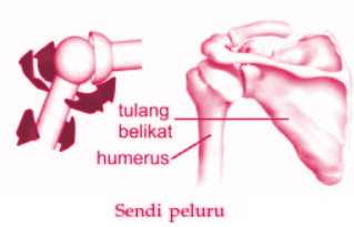 Detail Contoh Gambar Sendi Putar Nomer 27