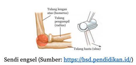 Detail Contoh Gambar Sendi Putar Nomer 36