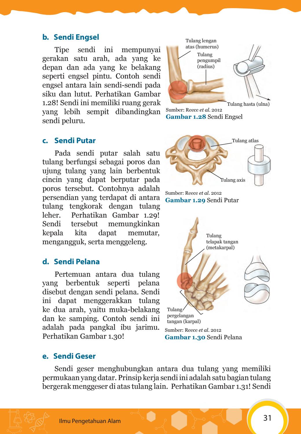 Detail Contoh Gambar Sendi Putar Nomer 47