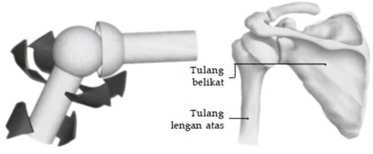 Detail Contoh Gambar Sendi Putar Nomer 8