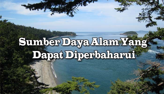 Detail Contoh Gambar Sumber Daya Alam Yang Dapat Diperbaharui Nomer 32