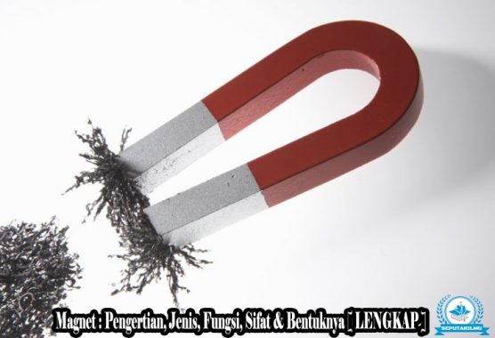 Detail Contoh Gaya Magnet Dalam Kehidupan Sehari Hari Nomer 40