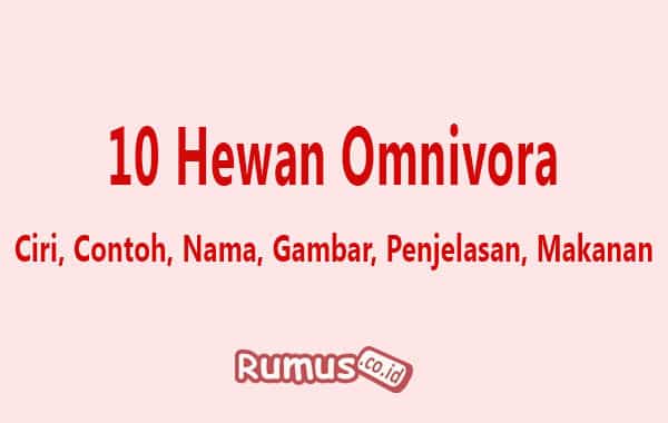 Detail Contoh Hewan Omnivora Adalah Nomer 23