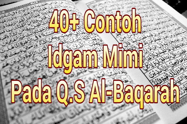 Detail Contoh Idgham Bighunnah Beserta Surat Dan Ayatnya Nomer 39