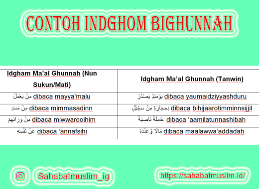 Detail Contoh Idgham Bighunnah Dalam Al Quran Beserta Suratnya Nomer 9