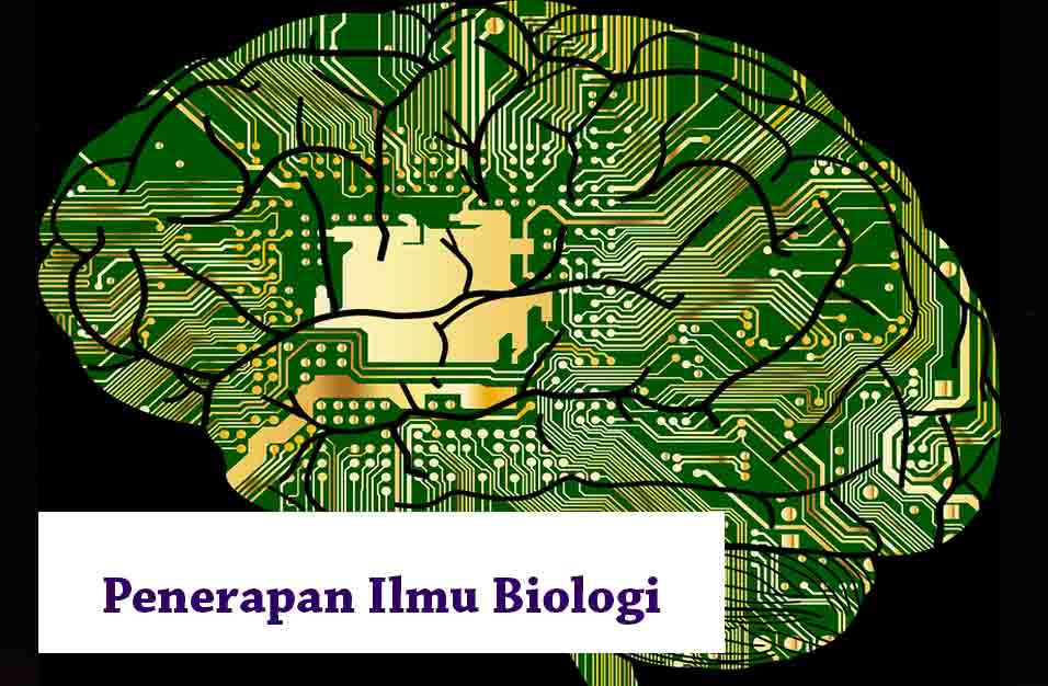 Detail Contoh Ilmu Terapan Nomer 52