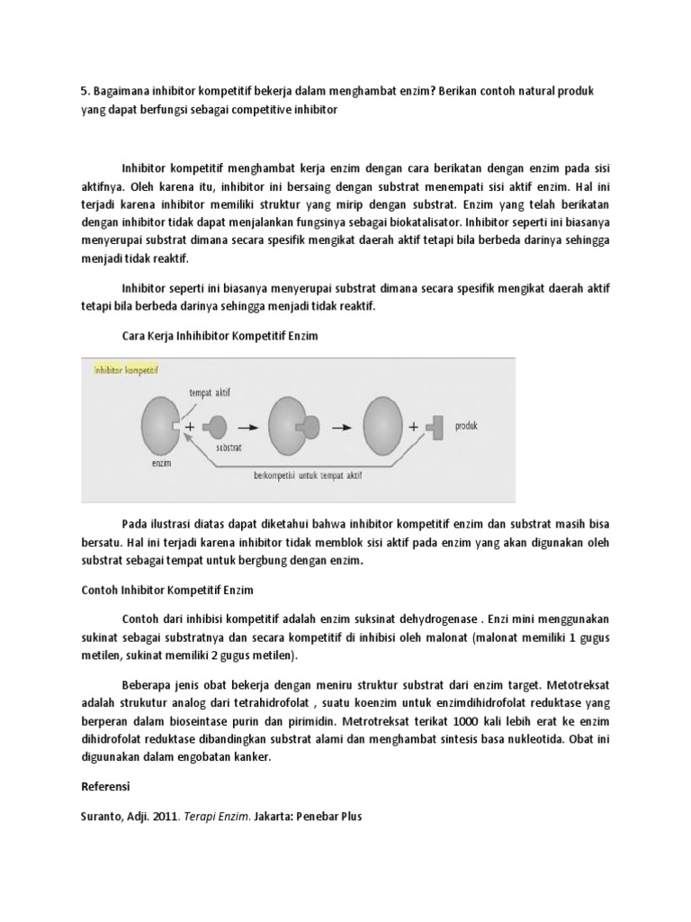 Detail Contoh Inhibitor Kompetitif Nomer 29