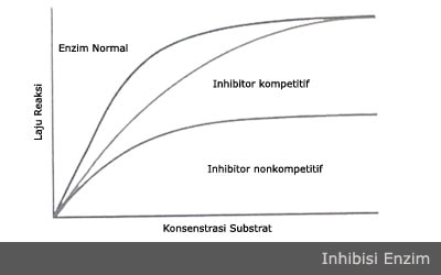 Detail Contoh Inhibitor Kompetitif Nomer 46