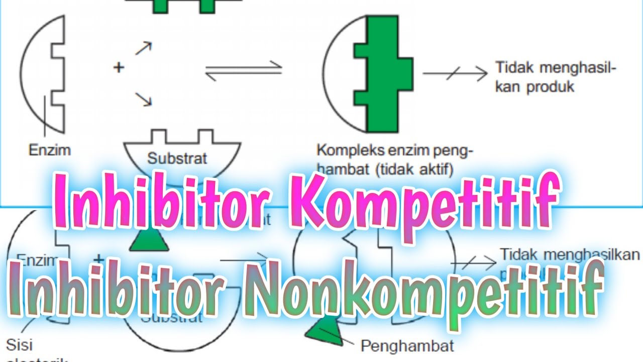 Detail Contoh Inhibitor Kompetitif Nomer 10