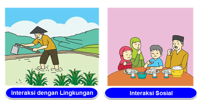 Detail Contoh Interaksi Manusia Dengan Lingkungan Nomer 8