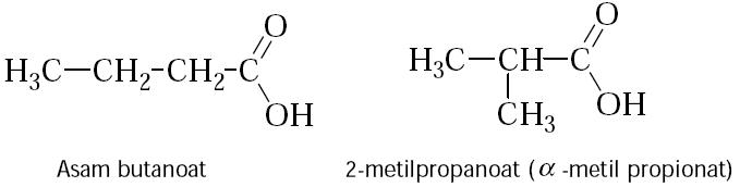 Detail Contoh Isomer Fungsi Nomer 31
