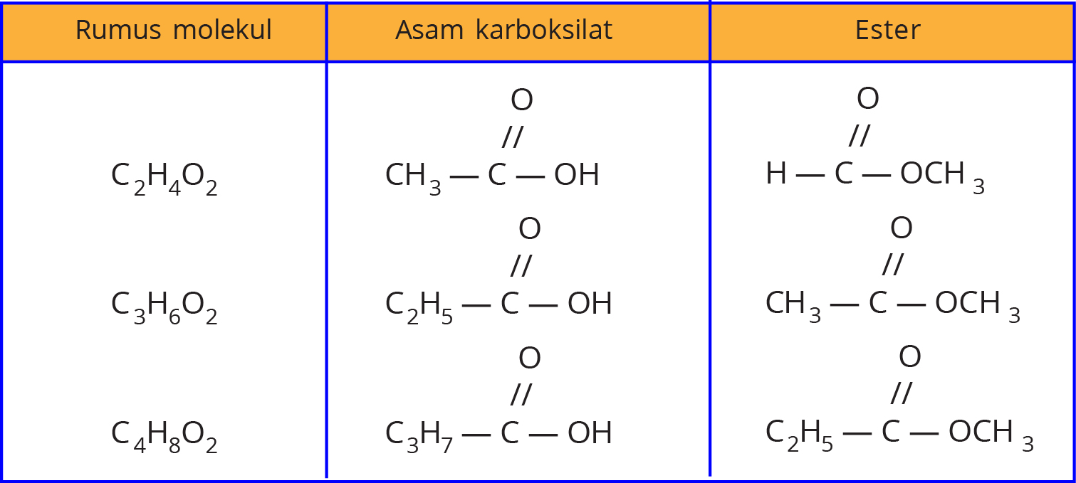 Detail Contoh Isomer Fungsi Nomer 44