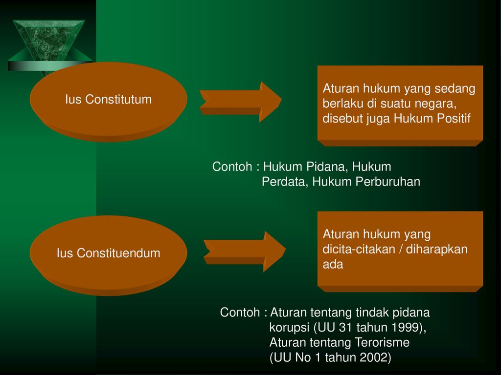 Detail Contoh Ius Constituendum Nomer 8