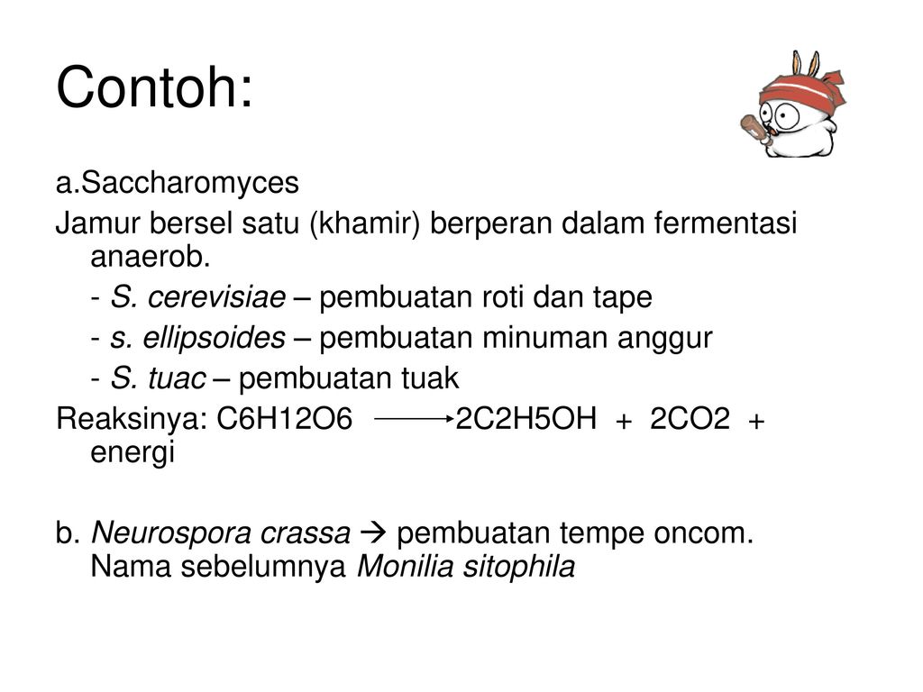 Detail Contoh Jamur Bersel Satu Adalah Nomer 13