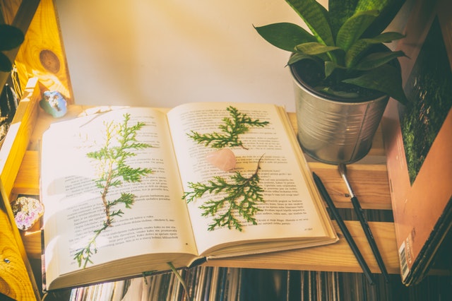 Detail Contoh Jenis Buku Fiksi Nomer 12