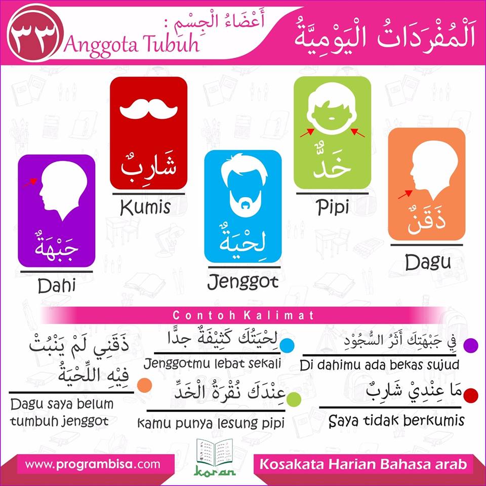Detail Contoh Kalimat Bahasa Arab Anggota Tubuh Nomer 11