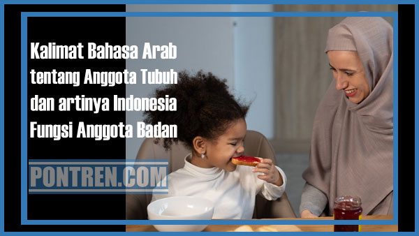 Detail Contoh Kalimat Bahasa Arab Anggota Tubuh Nomer 15