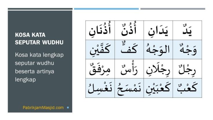 Detail Contoh Kalimat Bahasa Arab Anggota Tubuh Nomer 39