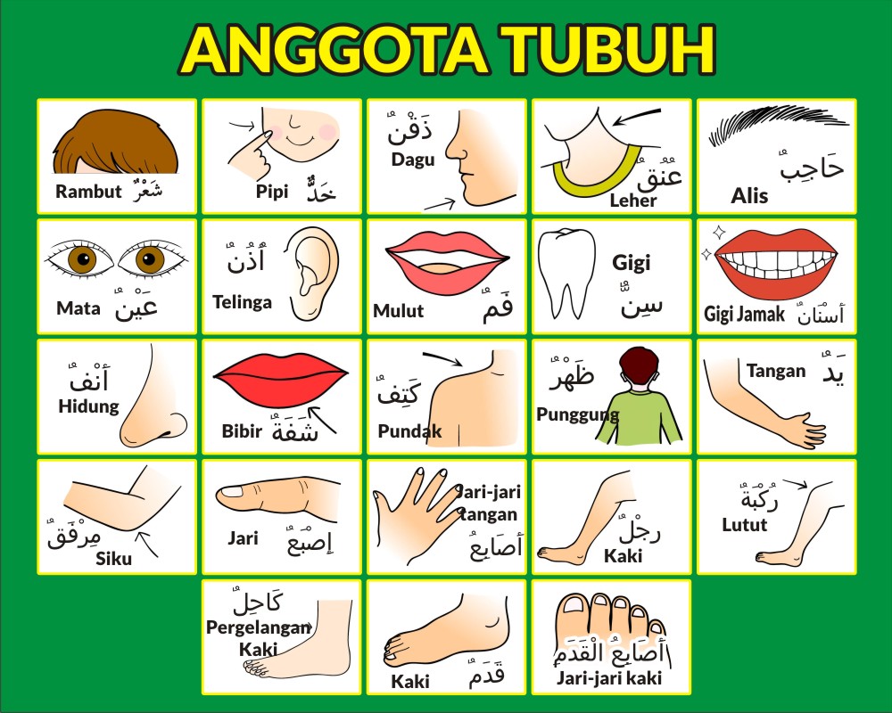 Detail Contoh Kalimat Bahasa Arab Anggota Tubuh Nomer 10