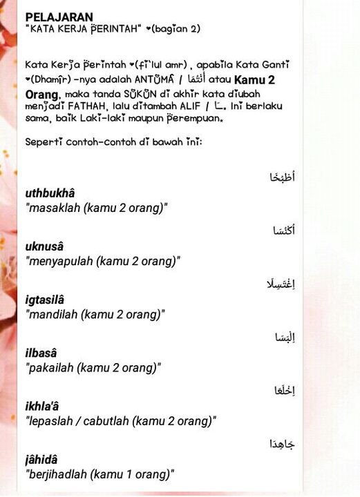 Detail Contoh Kalimat Kata Kerja Dalam Bahasa Arab Nomer 29