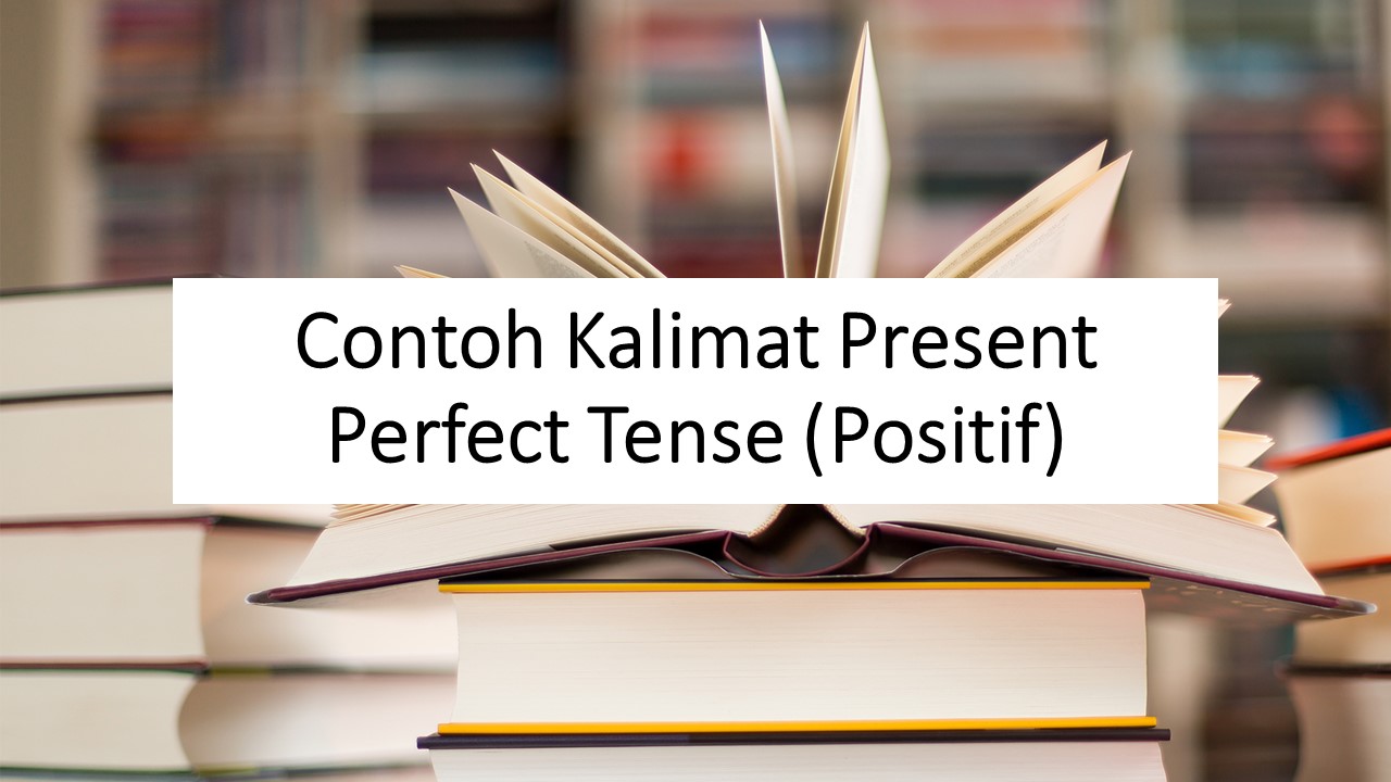 Detail Contoh Kalimat Present Perfect Tense Beserta Artinya Nomer 44