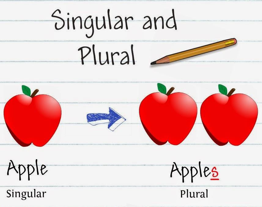 Detail Contoh Kalimat Tunggal Dan Jamak Dalam Bahasa Inggris Nomer 4