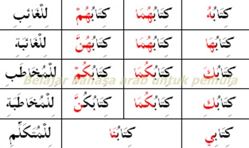 Detail Contoh Kata Ganti Milik Dalam Bahasa Arab Nomer 3