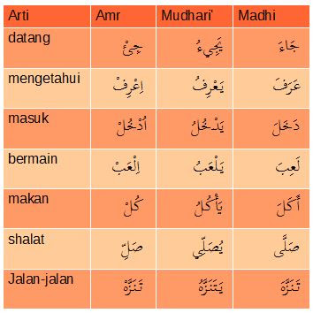 Detail Contoh Kata Kerja Bahasa Arab Nomer 24