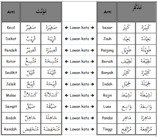 Detail Contoh Kata Sifat Dalam Bahasa Arab Nomer 2