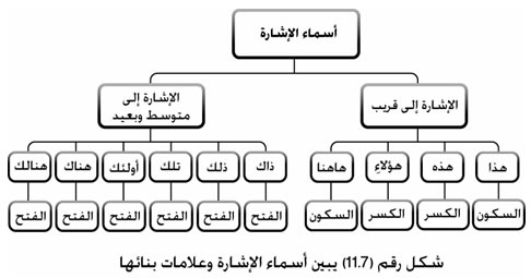 Detail Contoh Kata Tunjuk Dalam Bahasa Arab Nomer 10