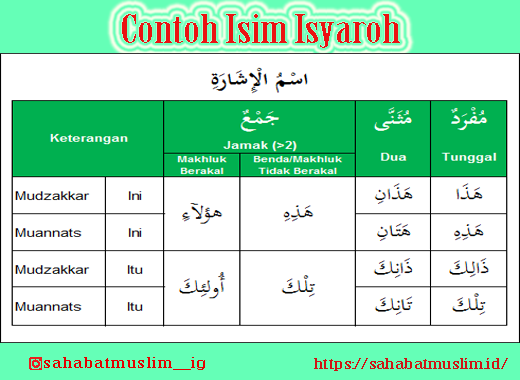 Detail Contoh Kata Tunjuk Dalam Bahasa Arab Nomer 9