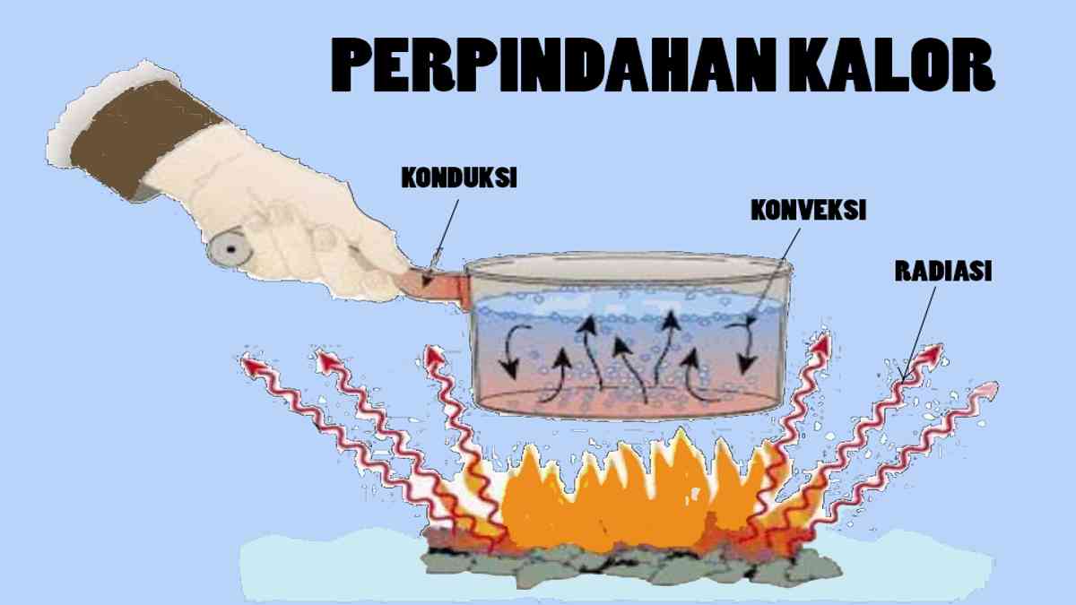 Detail Contoh Konveksi Adalah Nomer 40