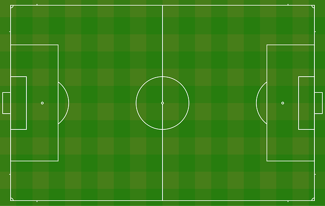 Detail Contoh Lapangan Sepak Bola Nomer 22