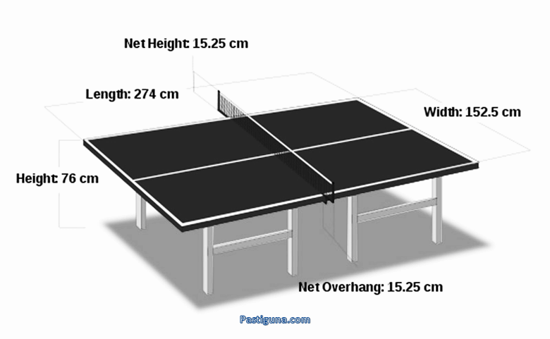 Detail Contoh Lapangan Tenis Meja Nomer 3