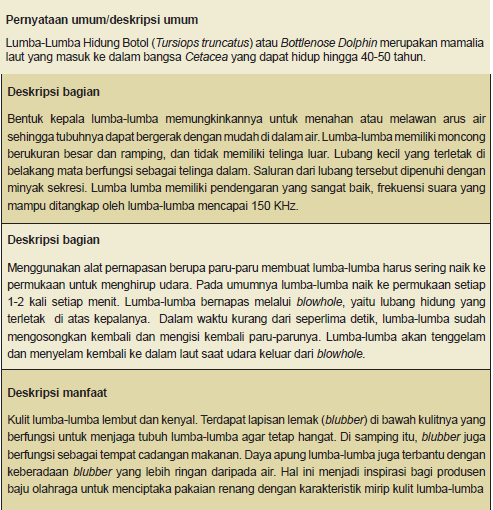 Detail Contoh Laporan Deskripsi Nomer 23