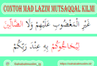 Detail Contoh Mad Lazim Mukhaffaf Kilmi Beserta Surat Dan Ayatnya Nomer 7
