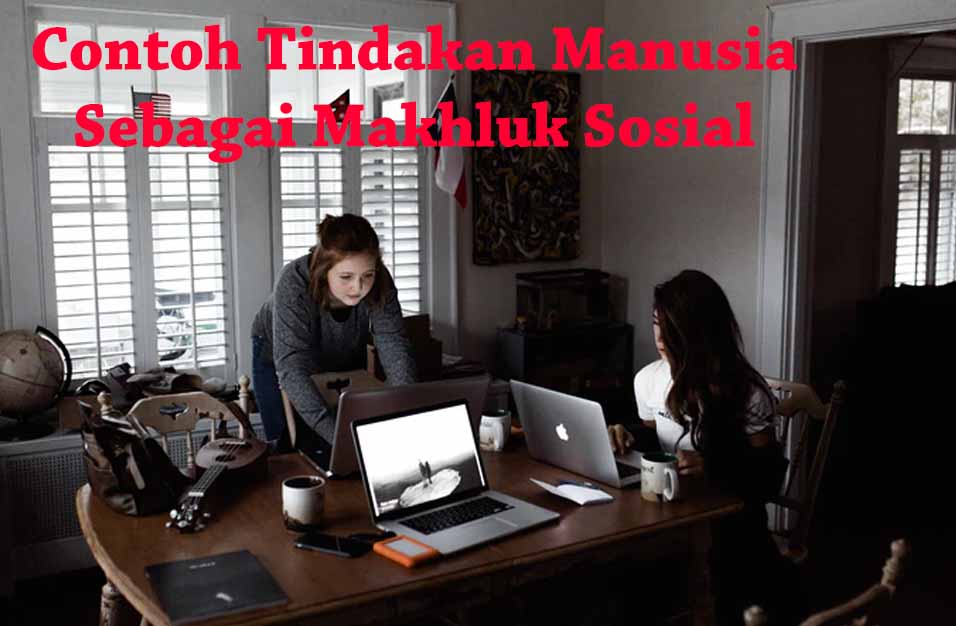 Detail Contoh Manusia Sebagai Makhluk Individu Nomer 28