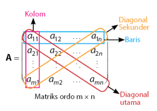 Detail Contoh Matriks Persegi Nomer 43