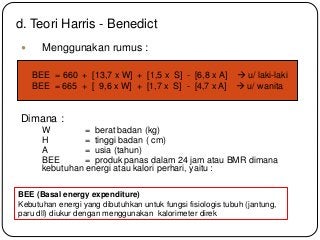 Detail Contoh Menghitung Bmr Nomer 13