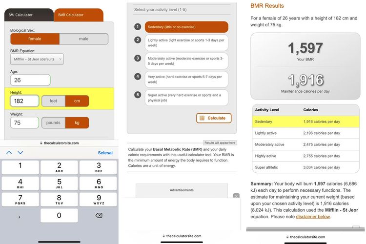 Detail Contoh Menghitung Bmr Nomer 18