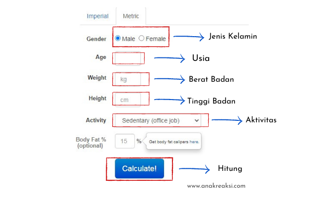 Detail Contoh Menghitung Bmr Nomer 31