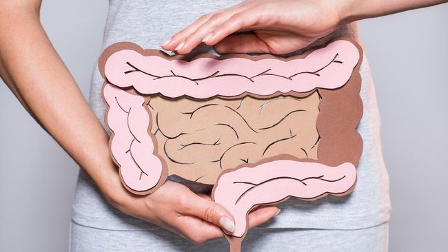 Detail Contoh Menu Makanan Sehat Untuk Menjaga Organ Pencernaan Pada Manusia Nomer 37